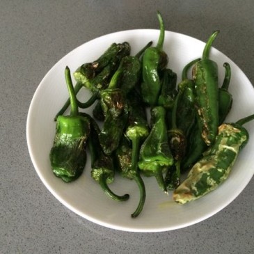 Vroege Pimientos de Padron