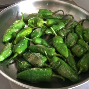 Pimientos de Padron – best food ever